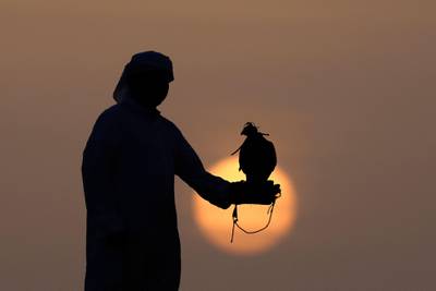 An Emirati falconer and his bird of prey are silhouetted against a low sun, in the Al Dhafra desert, the UAE. AFP