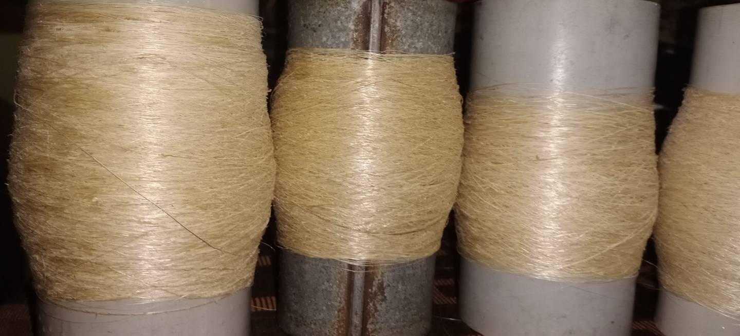 Yarn made of banana stem fibre, 150 grams of which yields 100 grams of textile fibre