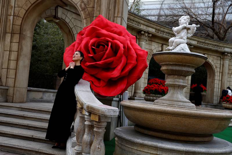 A woman poses for pictures in front of giant rose installations on Valentine's Day in Beijing, China February 14, 2023.  REUTERS / Tingshu Wang     TPX IMAGES OF THE DAY