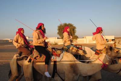 Trainees usually begin by learning how to walk and trot with the camels, first with the support of guiding camels before taking the reins freely. Courtesy Linda Krockenberger