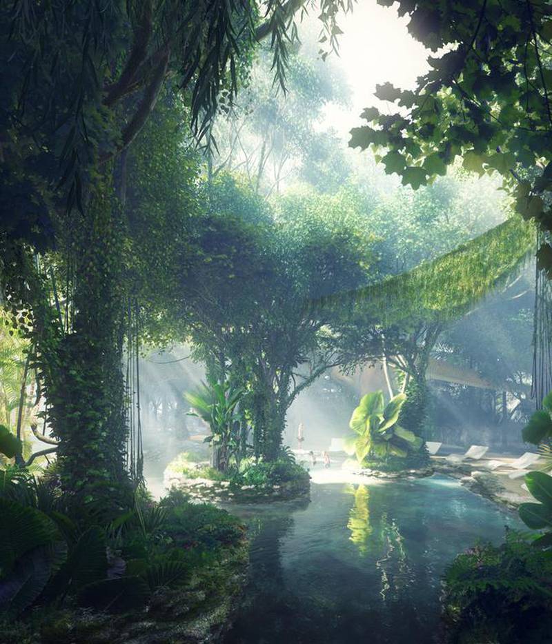A rendering of the rainforest.