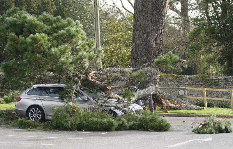 A car crushed by a falling branch in Lyme Regis. PA