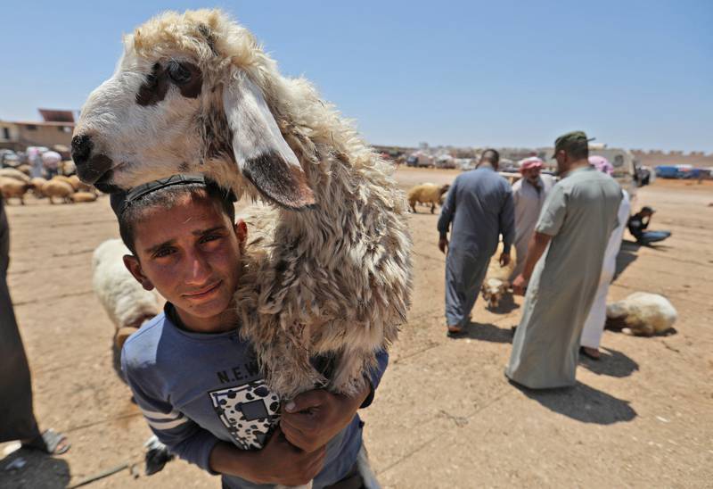 A shepherd carries a sheep at a livestock market in the town of Dana, east of the Turkish-Syrian border in the northwestern Syrian Idlib province. AFP