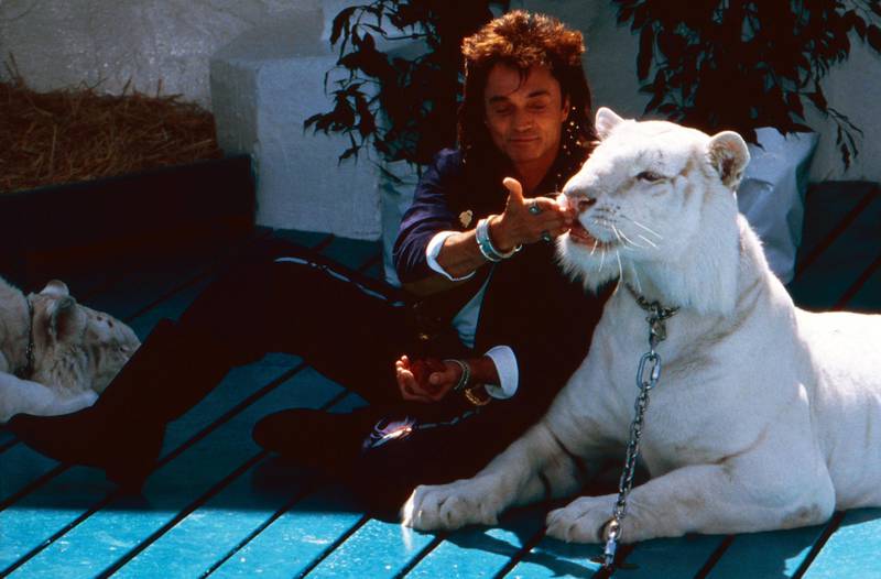 Roy Uwe Ludwig Horn, Zauberkvºnstler vom deutsch amerikanischen Illusionistenduo "Siegfried und Roy" mit weivüen Tigern, Deutschland 1991