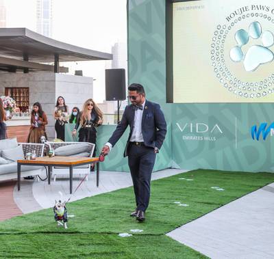 Roy Fernandes walks the runway with Drake the dog. Courtesy Boujie Paws Co