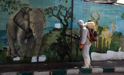A zoo employee wearing a face mask sprays disinfectant as a preventive measure against the spread of the coronavirus at the closed Giza Zoo, in Giza, Egypt.  EPA