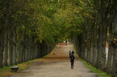A jogger runs in the Versailles gardens in Versailles, France. France has imposed another national lockdown for a minimum of four weeks. Getty Images