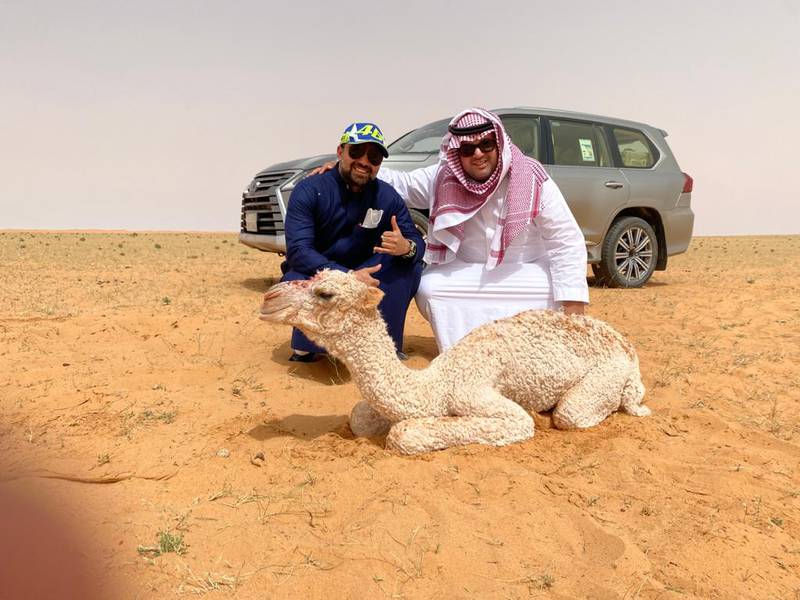 يشيد مسلسل Camel Quest الجديد على Netflix بالثدييات الثمينة في المملكة العربية السعودية
