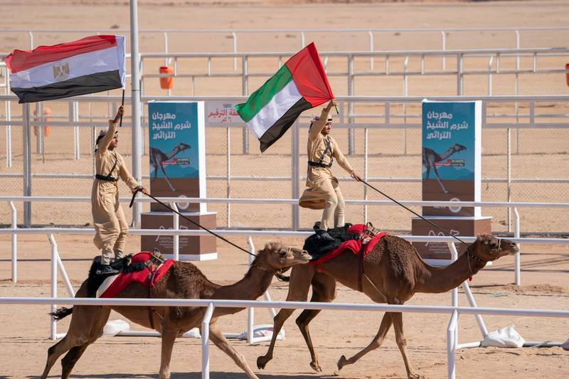 Camel riders put on a show at Sharm El Sheikh Heritage Festival. Courtesy Sheikh Mohamed bin Zayed Twitter