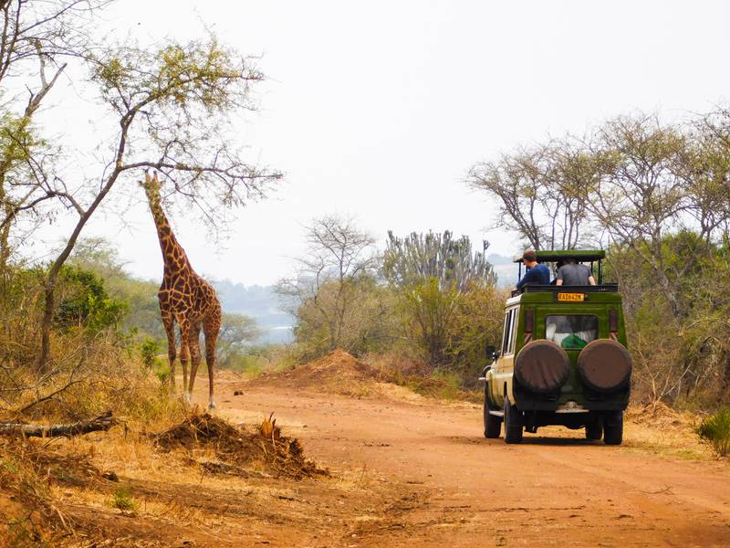 Visitors to Akagera National Park in Rwanda can see the safari big five. Photo: Emmy Shingiro / Unsplash