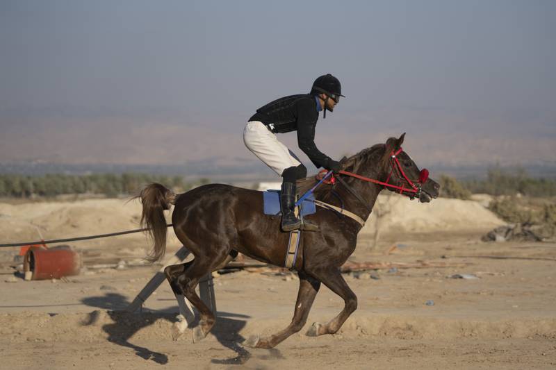 The Palestinian Equestrian Federation championship began on December 2, in the occupied West Bank.  