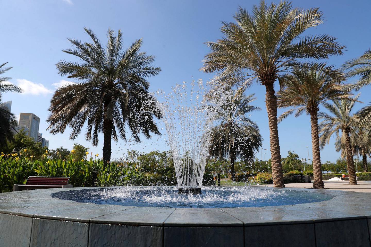 Abu Dhabi, United Arab Emirates - December 13, 2018: Lake Park, Corniche Road. Pictures of different parks all over Abu Dhabi. Thursday the 13th of December 2018 in Abu Dhabi. Chris Whiteoak / The National