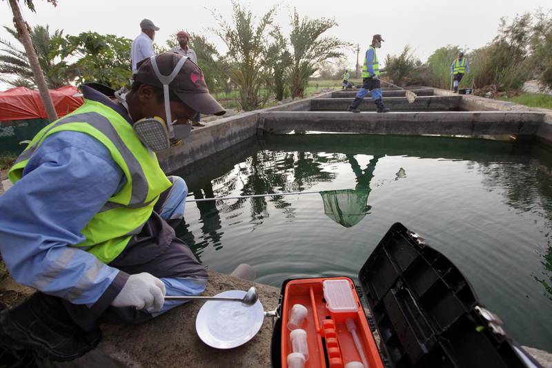 United Arab Emirates - Abu Dhabi - April 26 - 2010 : Workers from Eagle, enviromental services & pest control, look for malaria mosquitos in the irrigation water of a farm in Al Bahia town. ( Jaime Puebla / The National )
