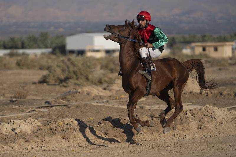 A jockey on his Arabian horse leads the race.