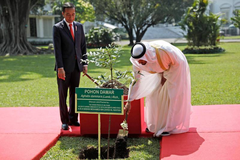 Sheikh Mohamed pours soil as Mr Widodo looks on during a tree-planting ceremony. Willy Kurniawan / Pool Photo via AP