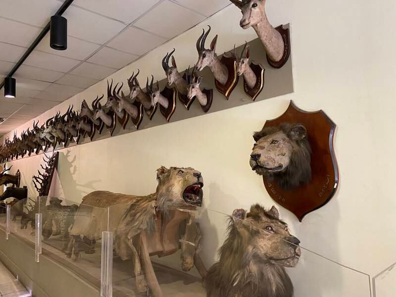 The hunting museum at Prince Muhammad Ali Palace Museum in Cairo. Nada El Sawy / The National
