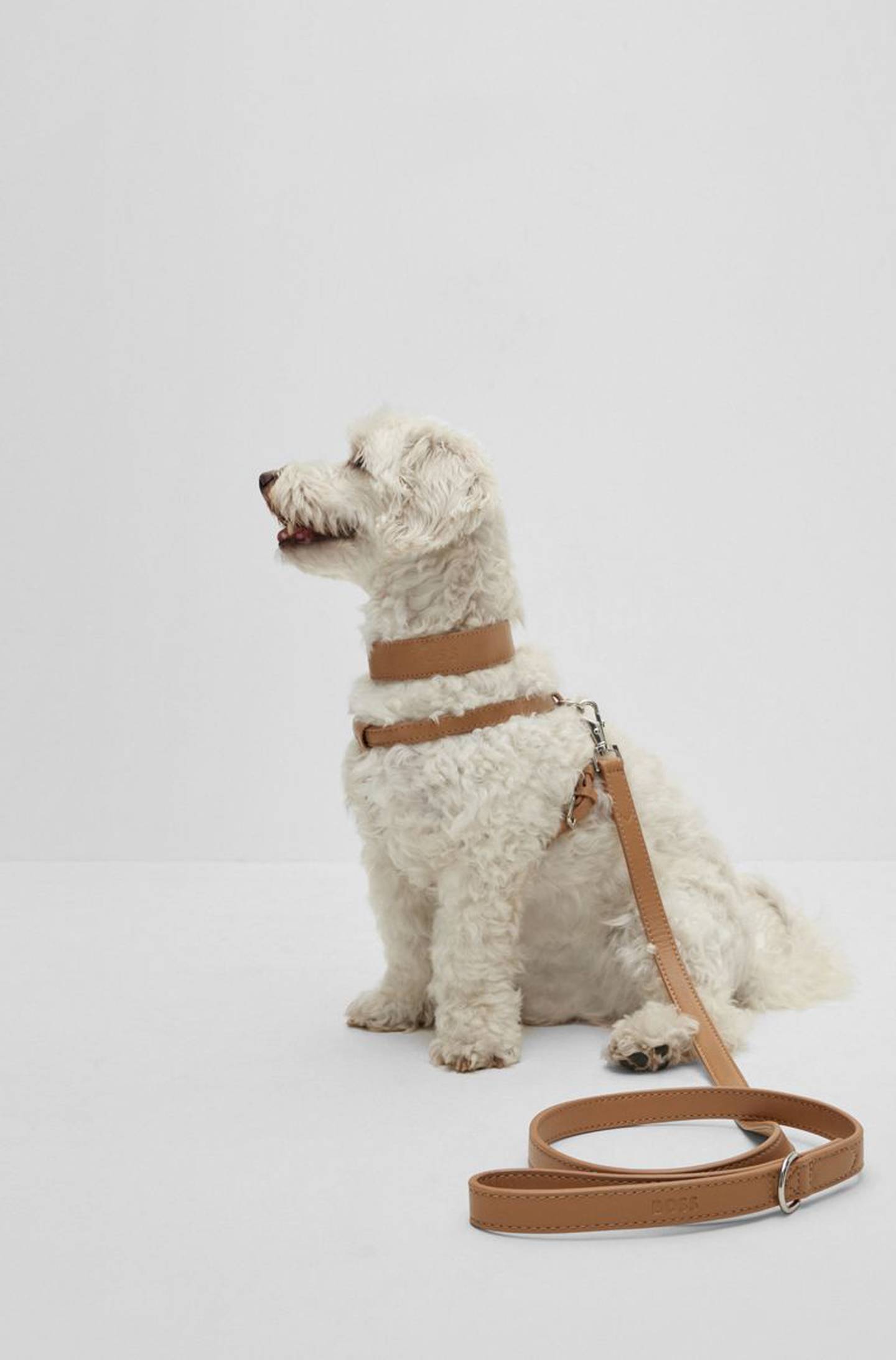Dog lead in recycled leather, Dh780 ($212), Hugo Boss. Photo: Hugo Boss