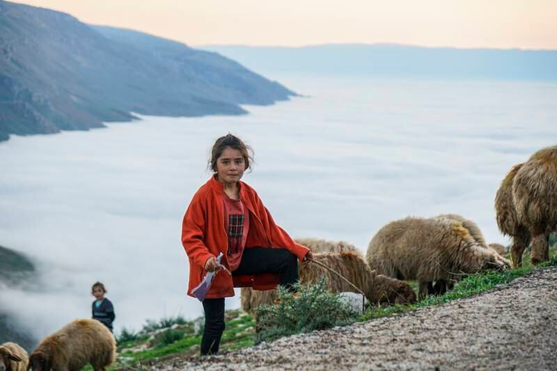 Ten-year-old Najwa is fond of grazing sheep in the foggy weather with her brothers every day 