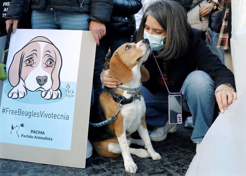 Vivotecnia is alleged to have used more than 30 beagle pups for drug research. EPA