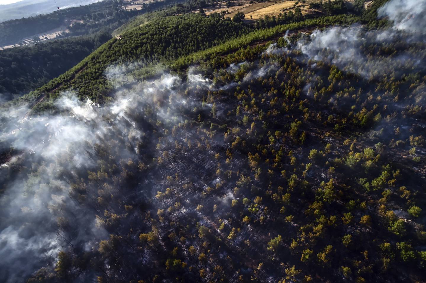 Burning forest near the tourist resort of Marmaris in Mugla, Turkey, on August 4. AP