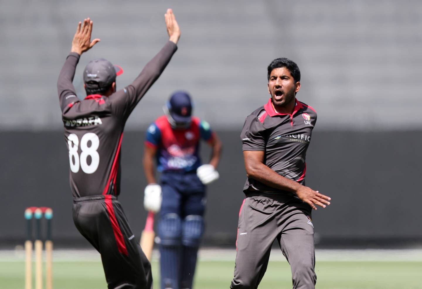 UAE's Junaid Siddique celebrates the wicket of Nepal's Aasif Sheikh. Chris Whiteoak / The National