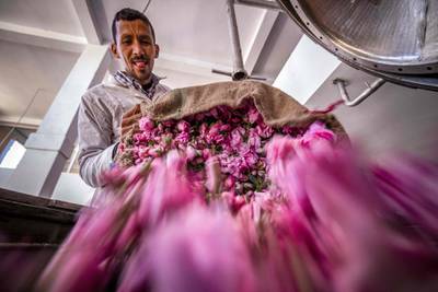 A worker empties roses from a sack at a distillery in the city of Kelaat M'Gouna in central Morocco's Tinghir province in the Atlas Mountains. AFP