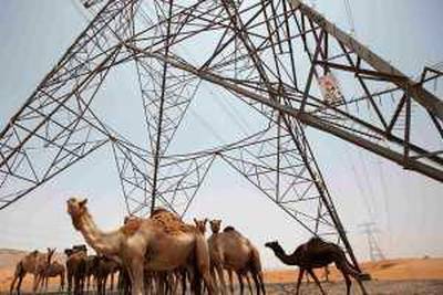 Camels seek shade from the sun underneath a pylon near Fossil Rock July 21, 2009. According to a recent report by the Dubai Electricity and Water Authority (DEWA), the demand for electricity in Dubai is expected to grow by 10 percent in 2009, despite the global economic slowdown. REUTERS/Steve Crisp (UNITED ARAB EMIRATES ENERGY ENVIRONMENT POLITICS BUSINESS IMAGES OF THE DAY) *** Local Caption ***  SEC04_DUBAI-_0721_11.JPG *** Local Caption ***  SEC04_DUBAI-_0721_11.JPG