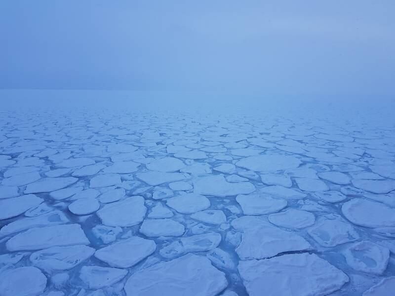 Sea ice in 2017 forming through the 'pancake cycle'. The characteristic raised rims are caused when the pancakes crash into each other through wind and wave action.