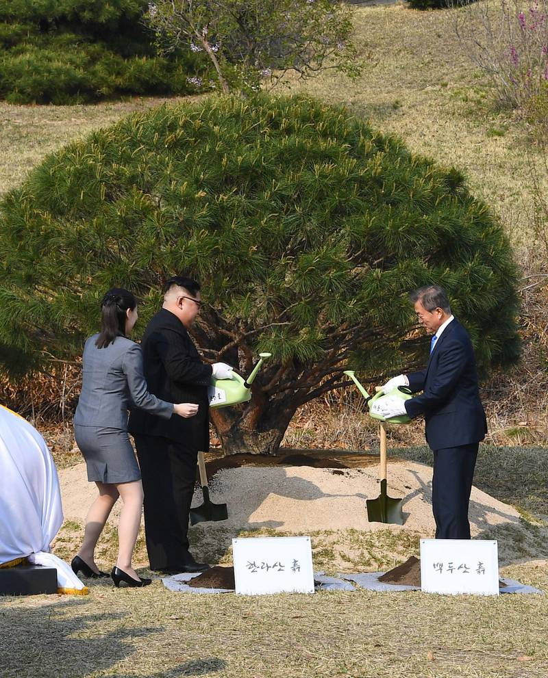 North Korea's leader Kim Jong Un (2nd L) and South Korea's President Moon Jae-in (R) participate in a tree-planting ceremony next to the Military Demarcation Line that forms the border between the two Koreas at the truce village of Panmunjom.
North Korean leader Kim Jong Un and the South's President Moon Jae-in sat down to a historic summit on April 27 after shaking hands over the Military Demarcation Line that divides their countries in a gesture laden with symbolism. AFP PHOTO / Korea Summit Press Pool