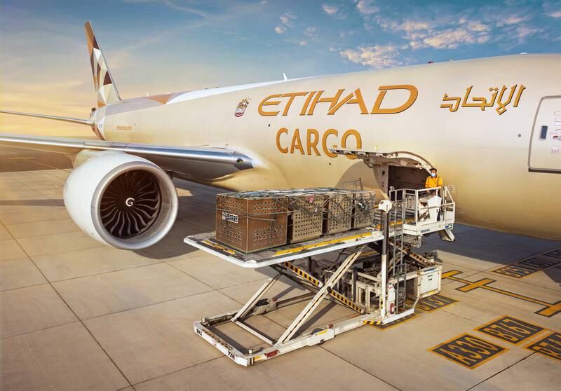 Providing additional capacity to New York is the latest step by Etihad to strengthen its operations in the US. Photo: Etihad