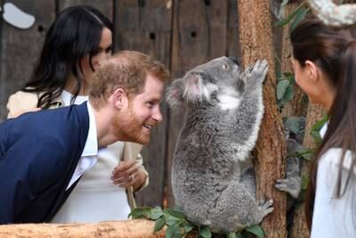 Britain's Prince Harry, the Duke of Sussex, and his wife Meghan, the Duchess of Sussex, are seen meeting Ruby, a mother Koala who gave birth to koala joey Meghan, named after Her Royal Highness, with a second joey named Harry after His Royal Highness, during a visit to Taronga Zoo in Sydney, Australia, October 16, 2018. AAP/Dean Lewins/POOL/via REUTERS  ATTENTION EDITORS - THIS IMAGE WAS PROVIDED BY A THIRD PARTY. NO RESALES. NO ARCHIVE. AUSTRALIA OUT. NEW ZEALAND OUT. TPX IMAGES OF THE DAY  ?