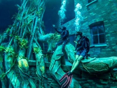 Deep Dive Dubai offers experiences and courses across three categories: Discover, Dive and Develop, which are open to anyone aged 10 and above, from beginners to professional divers