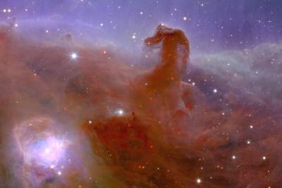 This undated handout obtained on November 2, 2023 from the European Space Agency ESA shows an alternative crop of astronomical image of a Horsehead Nebula taken during ESA's Euclid space mission, which is built and operated by the European Space Agency ESA and with contributions from NASA.  The first images from Europe's Euclid space telescope were released on November 7, showing a nebula resembling a horse's head, never-before-seen distant galaxies and even "circumstantial evidence" of elusive dark matter.  Euclid blasted off in July on the world's first-ever mission aiming to investigate the enduring cosmic mysteries of dark matter and dark energy.  It will do so partly by charting one third of the sky -- encompassing a mind-boggling two billion galaxies -- to create what has been billed as the most accurate 3D map of the universe ever.  (Photo by HANDOUT  /  ESA / Euclid / Euclid Consortium / NASA  /  AFP)  /  RESTRICTED TO EDITORIAL USE - MANDATORY CREDIT "AFP PHOTO / ESA / EUCLID / EUCLID CONSORTIUM / NASA" - NO MARKETING NO ADVERTISING CAMPAIGNS - DISTRIBUTED AS A SERVICE TO CLIENTS