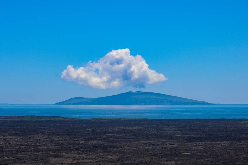 'Misty mountain' – first place in the Landscape category. Courtesy Galapagos Conservation Trust / Fisher Houston