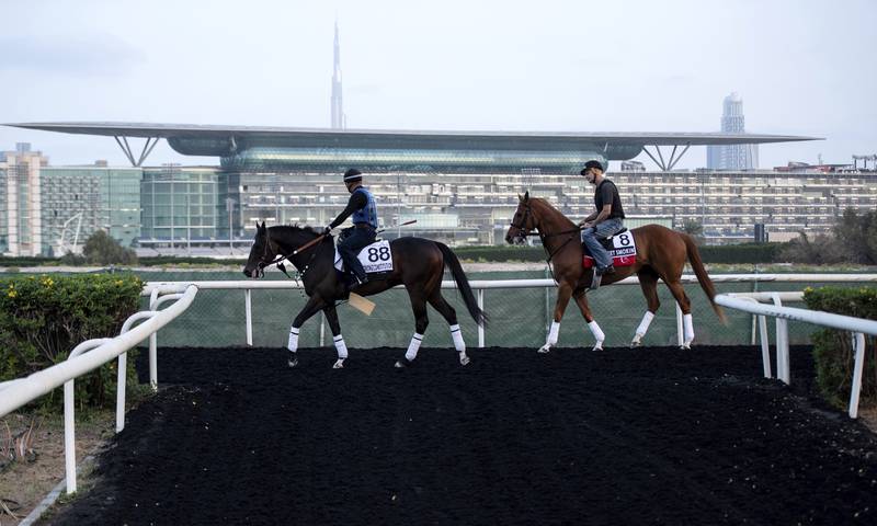 Strongconstitution, left, and Al Quoz Sprint contender Get Smokin walk to the track. AP Photo