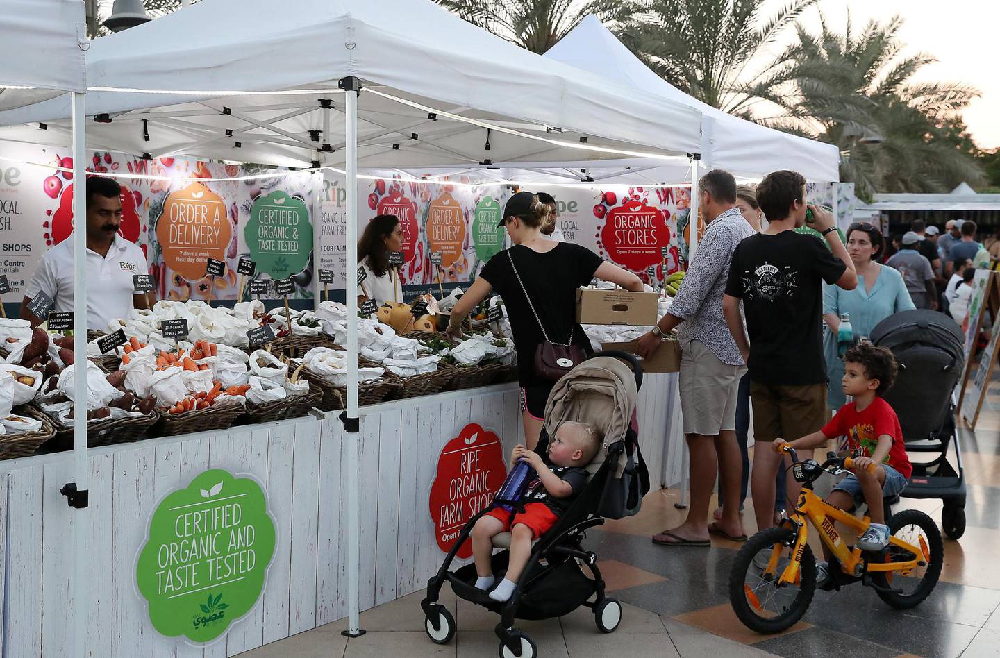 DUBAI , UNITED ARAB EMIRATES , OCT 21   – 2017 :- People buying organic vegetables at the Ripe Market held at Al Barsha Pond Park in Dubai. (Pawan Singh / The National) Story by Hala Khalaf