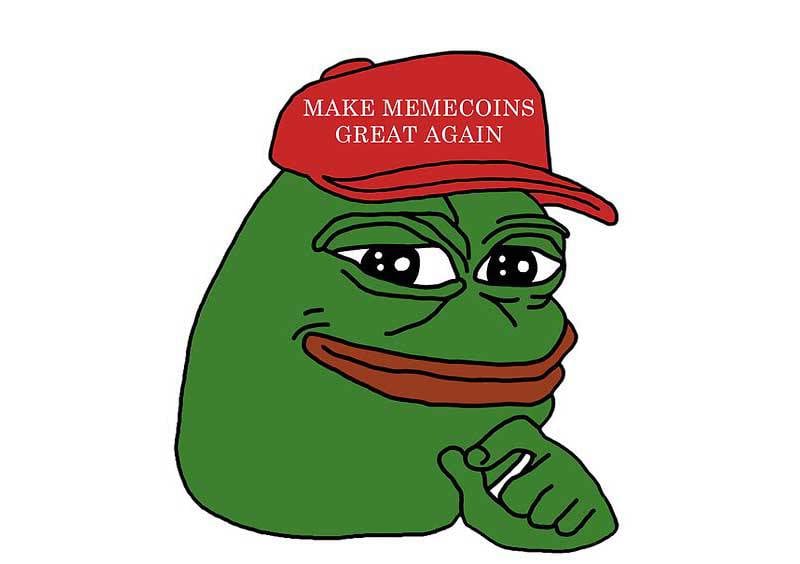 The Pepe meme coin has sparked frenzied speculation among investors, partly driven by a fear of missing out. Photo: Pepe Life