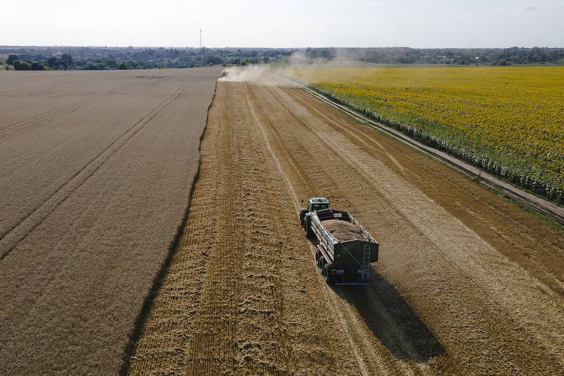 Ukrainian grain is a key commodity on the world food market but exports have been hampered by the war with Russia. Bloomberg 