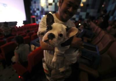 A man and his dog wait inside the cinema during the opening day of the pet friendly theatre. EPA