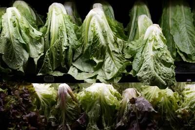 Leafy green vegetables are rich in nitrates which help to manage blood pressure. Reuters