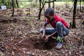 Isaac Molu, 11, plants a seedling during the nationwide tree planting public holiday in Nairobi, Kenya. AFP
