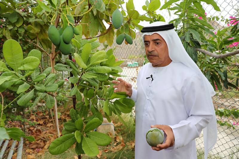 Ahmed Al Hefeiti grew up in the Fujairah village of Sakamkam next to his father’s farm