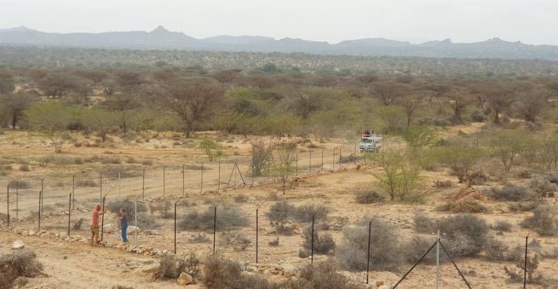 The Somaliland Cheetah Rescue and Conservation Centre (CRCC) at Geed-Deeble is one of the first projects of its kind in East Africa.
