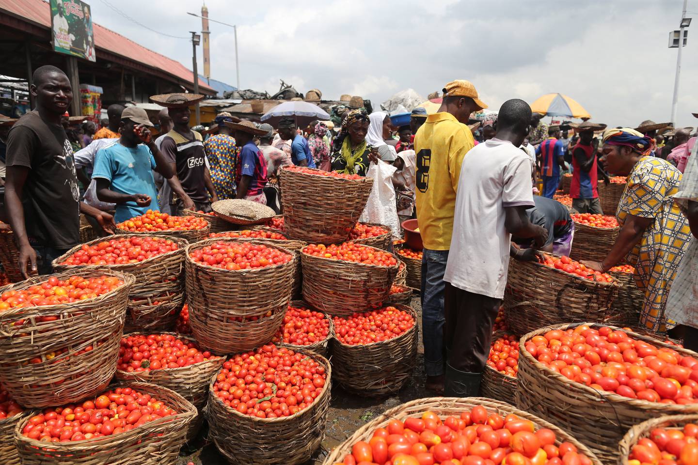 Food vendors and traders at the tomatoes depot at the Mile 12 international food market in Lagos. EPA