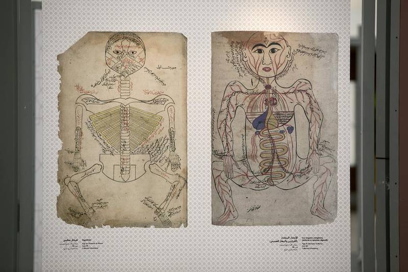 Ancient drawings of the anatomy