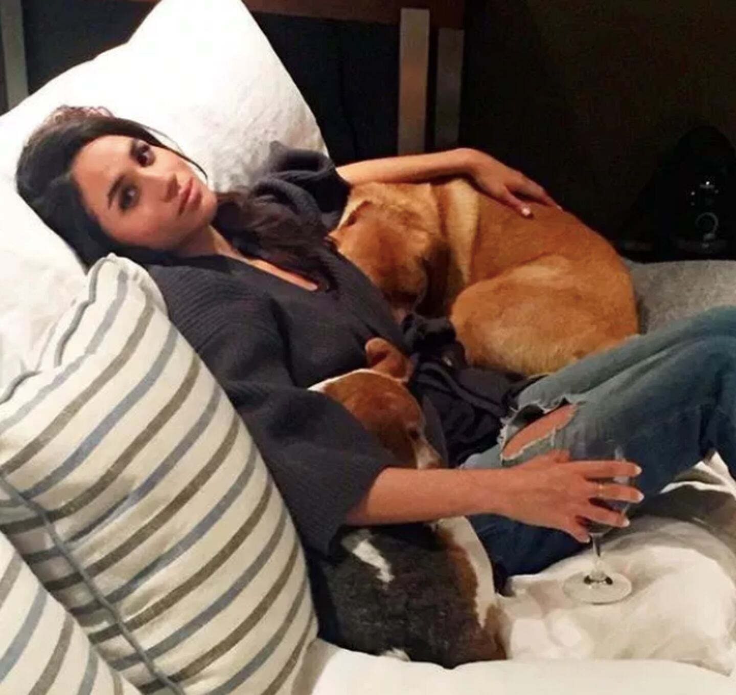 Meghan Markle at home in Toronto with her pet dogs. Photo: The Tig / Instagram