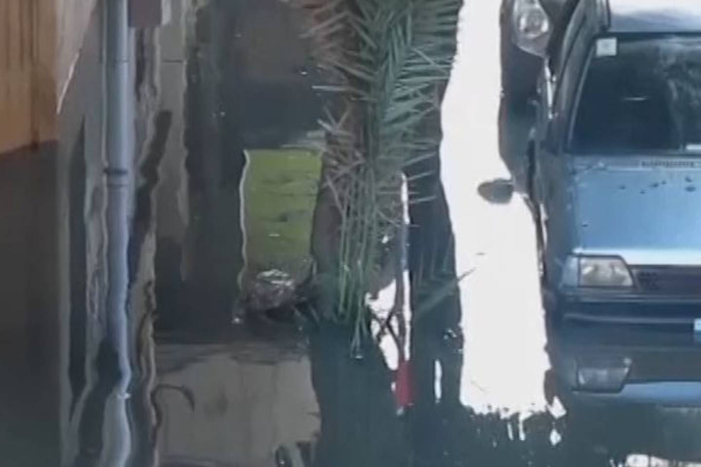 Alexandria hit by heavy floods after thunderstorms