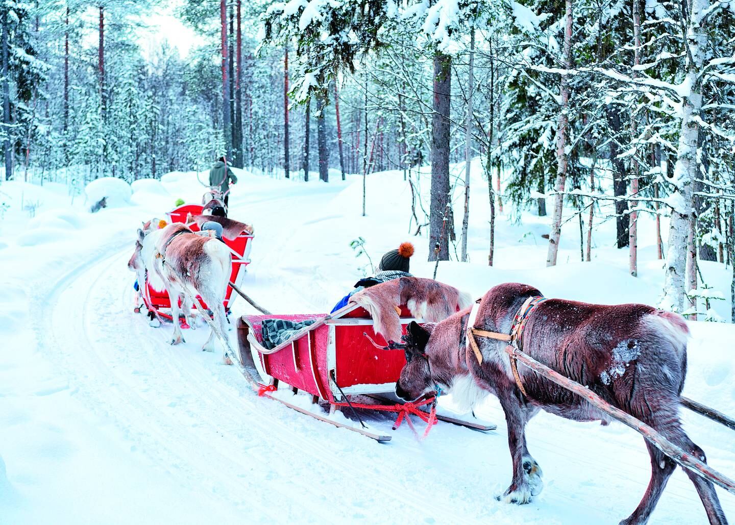 Santa's Lapland has implemented new safety rules including a socially-distanced Santa and sanitised reindeer sleigh rides. Photo: TUI