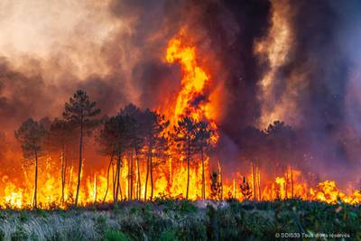 A wildfire burns near Landiras, south-west France. AP