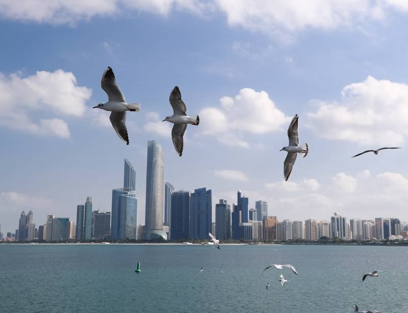 Seagulls wheel past the Abu Dhabi skyline, viewed from the UAE flag area on the Corniche on New Year's Day. Victor Besa / The National